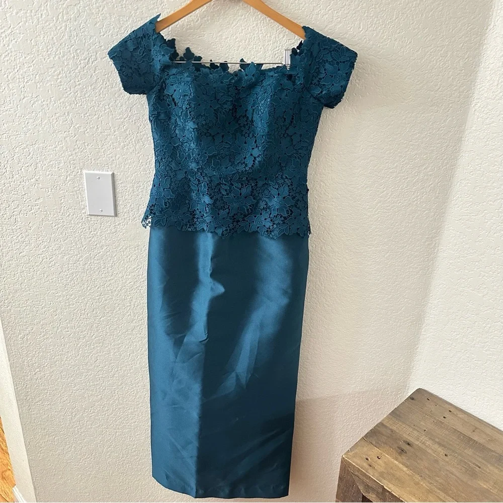 Ricki freeman for Teri Jon Lace Gazar Column Gown size 4 - Picture 1 of 6